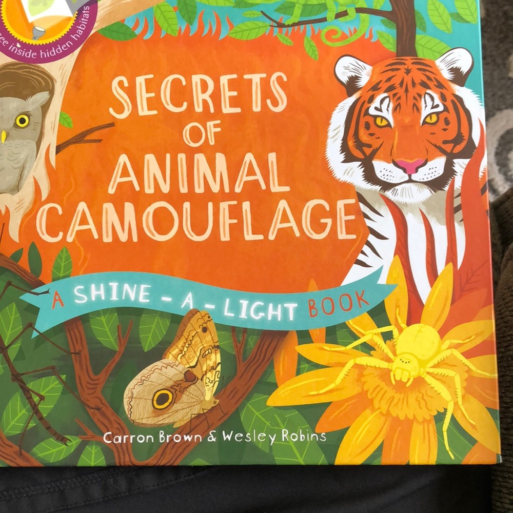 Shine-a-light book, Secrets of Animal Camouflage by Kane Miller/Usborne books